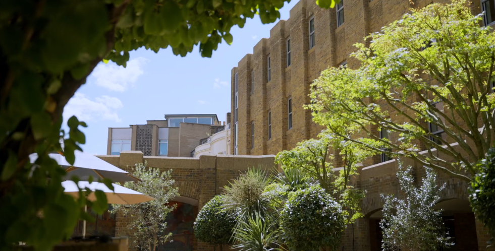 Screenshot-2025-07-16-153822