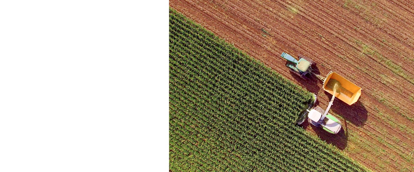 Advancing Sustainability banner